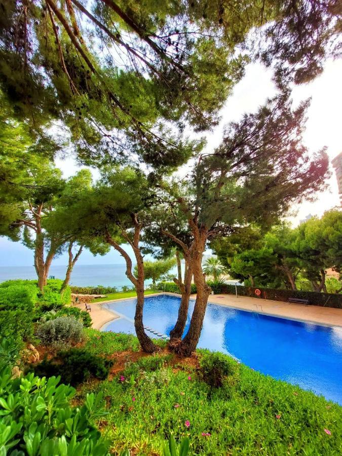 Vistas Al Mar Poniente Beach Benidorm Ngoại thất bức ảnh